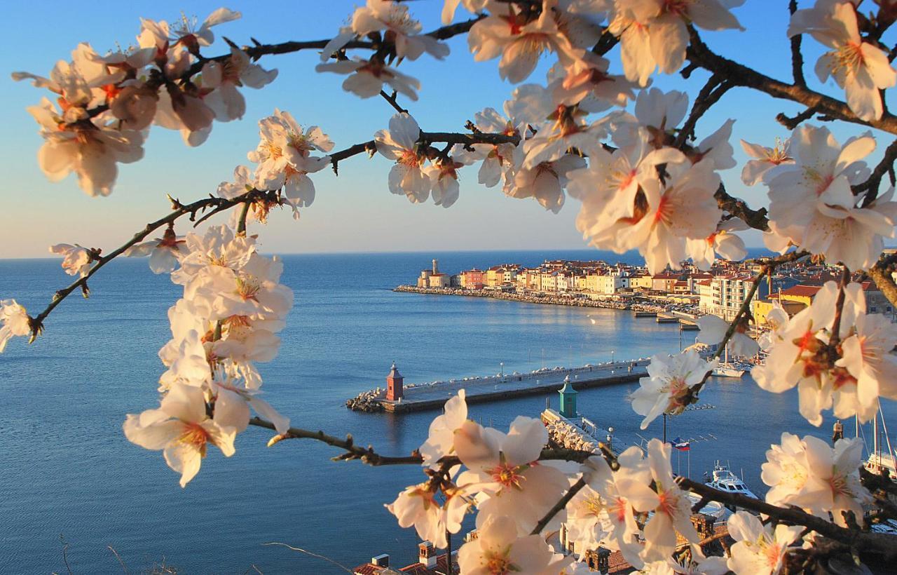 Apart Seaview Пиран Екстериор снимка